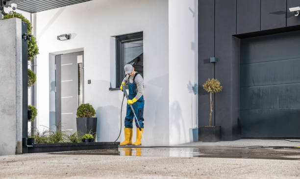 Best Animal Enclosure Cleaning  in Algonac, MI